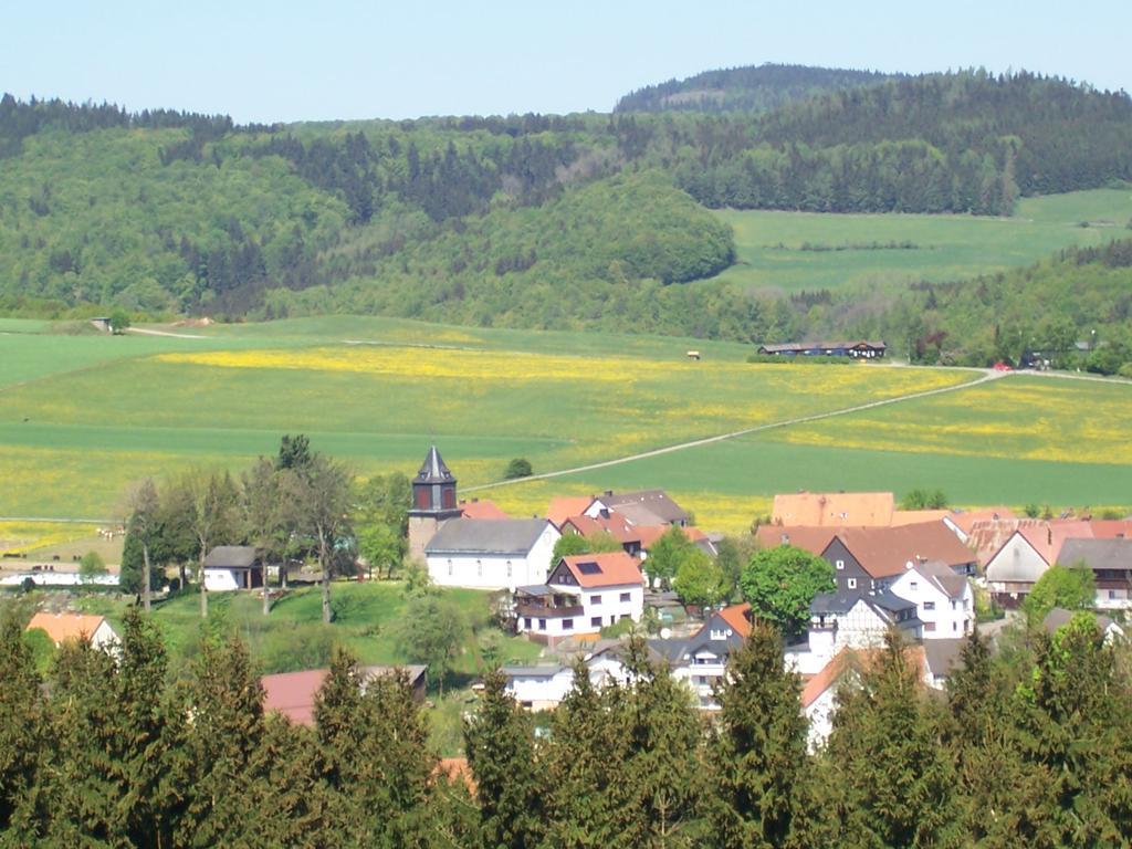 Fewo Wilke Willingen (Upland) Exterior foto