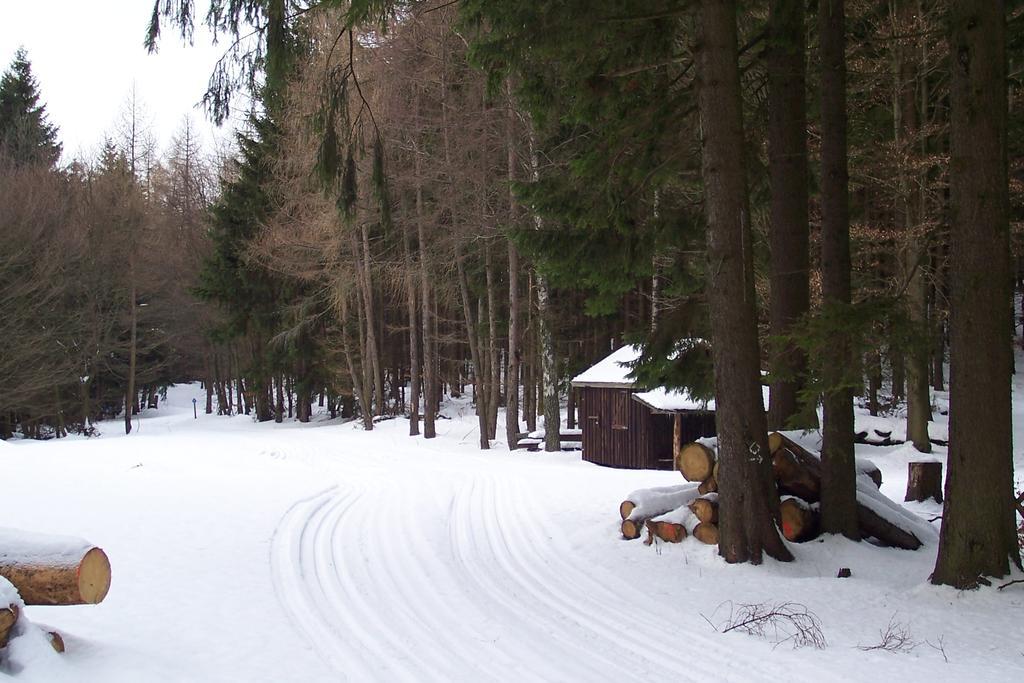 Fewo Wilke Willingen (Upland) Exterior foto