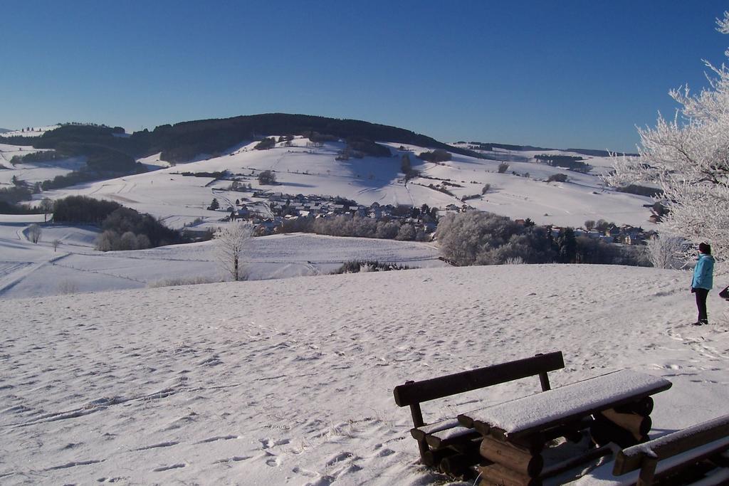 Fewo Wilke Willingen (Upland) Exterior foto
