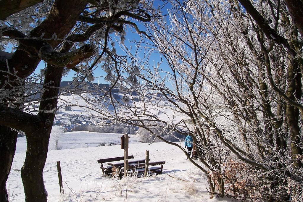 Fewo Wilke Willingen (Upland) Exterior foto