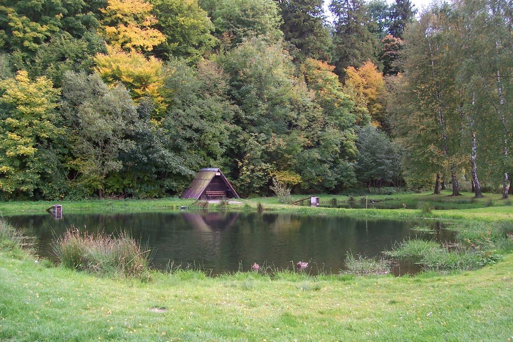Fewo Wilke Willingen (Upland) Exterior foto