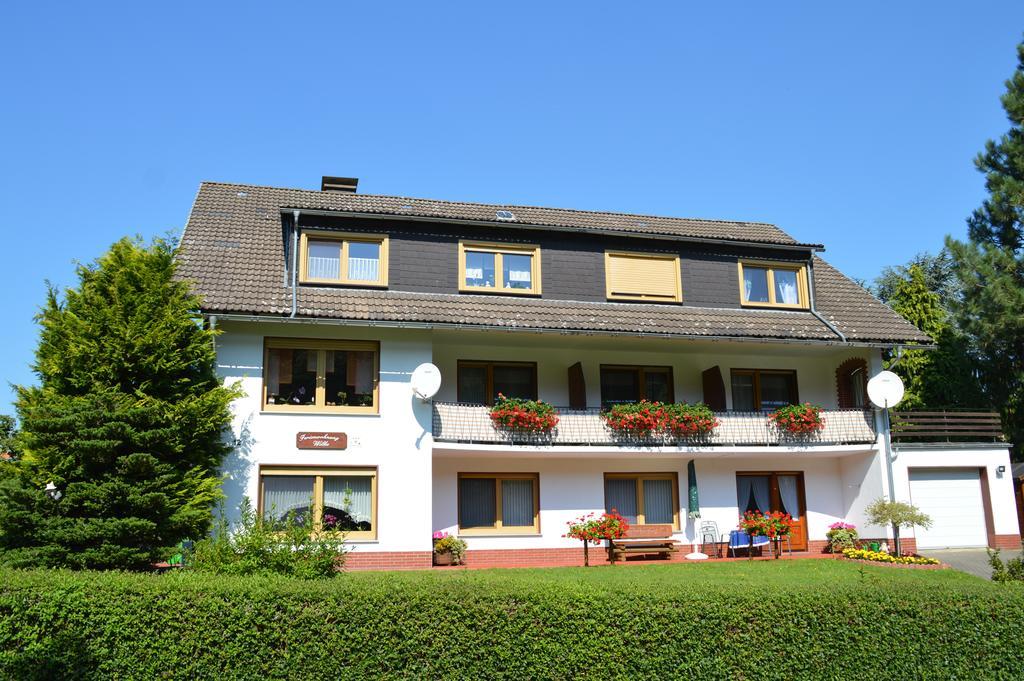 Fewo Wilke Willingen (Upland) Exterior foto
